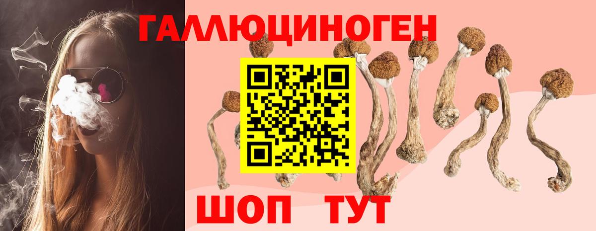 Псилоцибиновые грибы Cubensis  Псилоцибиновые грибы Psilocybe  цена   Вход с VPN  Янаул 